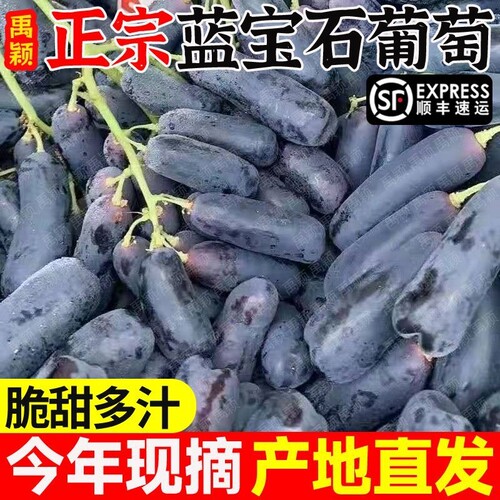 顺丰蓝宝石葡萄无籽提子新鲜当季水果黑加仑孕妇小孩美人现摘精品