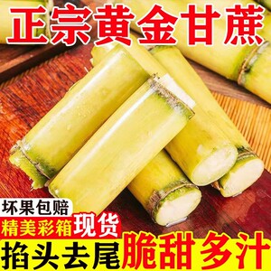 广西黄金甘蔗当季新鲜脆甜黄皮甘蔗9斤整箱包邮现砍中段黄皮甘蔗