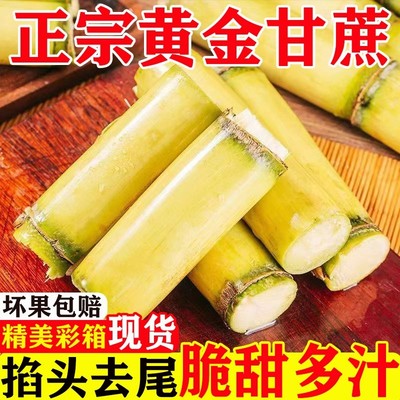 广西黄金甘蔗当季新鲜脆甜黄皮甘蔗9斤整箱包邮现砍中段黄皮甘蔗
