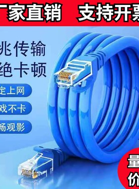 成品网线高速1/10/30米宽带路由