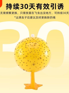 诱虫球黄色+底座+胶片/个小飞虫灭杀神器厨房蠓虫粘虫球