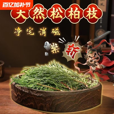 正宗西藏藏香柏枝叶净化空气煨桑烟天然香柏叶去晦气开运新鲜采摘