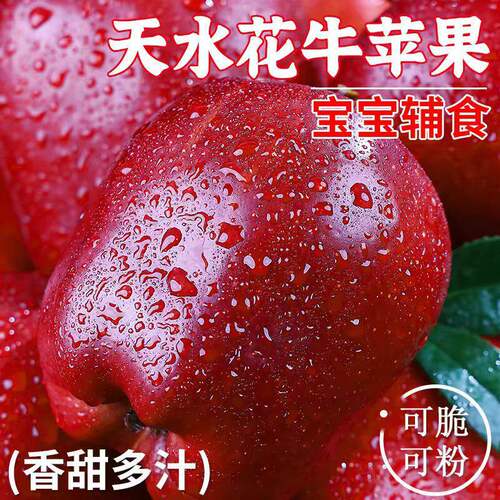甘肃花牛苹果蛇果新鲜水果国产一果两吃婴儿辅食苹果整箱包邮