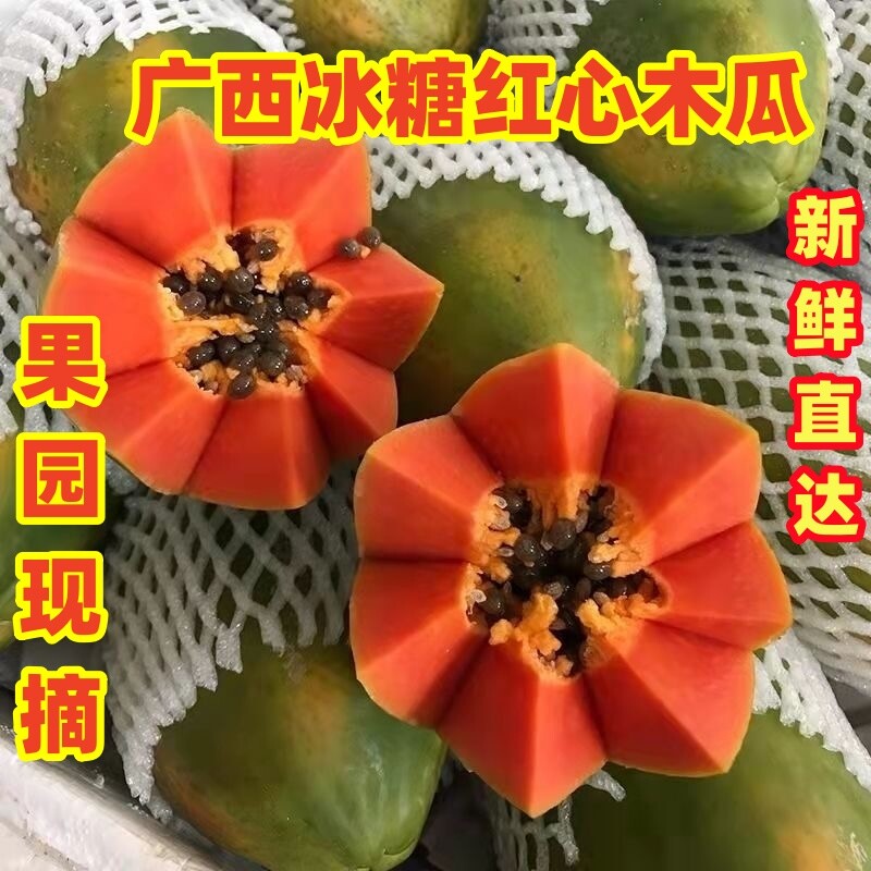 广西牛奶冰糖红心木瓜9斤装新鲜采摘直发当季水果软嫩多汁好吃的