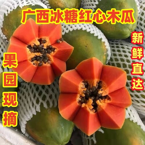 广西牛奶冰糖红心木瓜9斤装新鲜采摘直发当季水果软嫩多汁好吃的