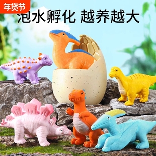 泡水孵化恐龙蛋盲盒泡在水里膨胀破壳大的男孩女孩儿童小玩具动物