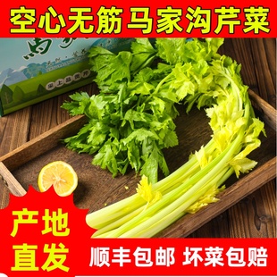 马家沟芹菜山东特产青岛平度有机芹菜贡品芹菜芯甄选新鲜蔬菜时令