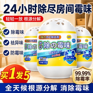 去霉味神房间器去潮湿除霉味室内衣柜去除霉菌除湿除异味除臭防霉