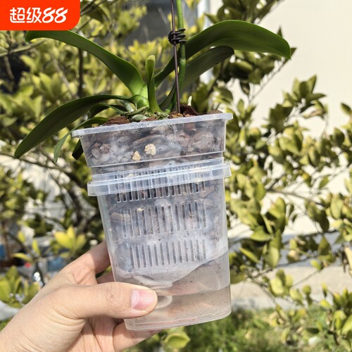 蝴蝶兰套盆透气控根半水培方花盆内外桶搭配套装控根盆桌面阳台