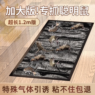 粘鼠板捉粘大老鼠贴超强力魔毯抓灭鼠捕鼠神器驱赶家用一窝端仓库