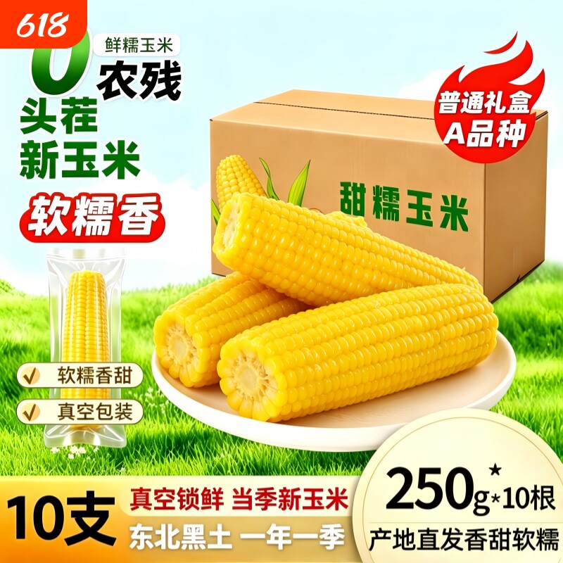 正宗东北黄糯玉米棒黏糯玉米新鲜宿舍代餐早餐加热即食香甜真空