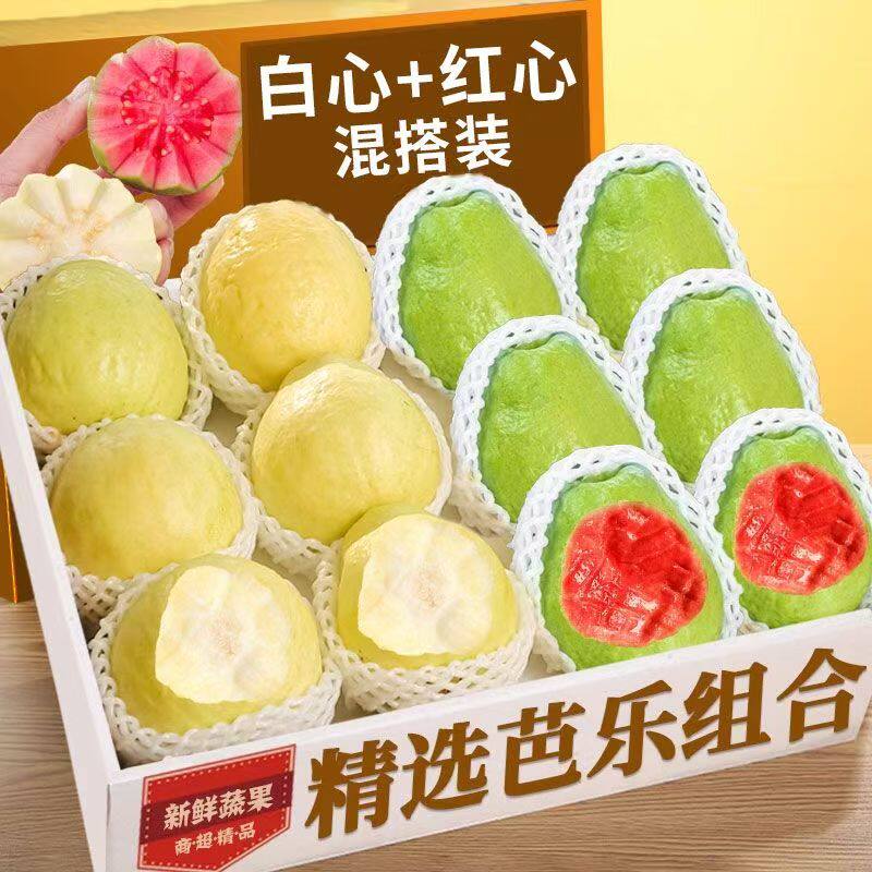 福建软糯软心芭乐水果漳州当季奶油番石榴应季新鲜巴乐果5斤红心