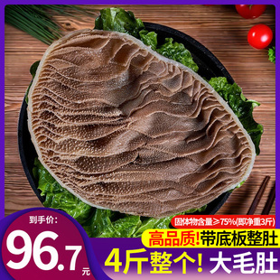 毛肚新鲜整个包邮商用批发牛百叶黑千层肚大叶片牛肚串串火锅食材
