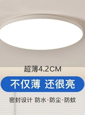 led高亮节能护眼百搭时尚简约超薄家用吸顶灯三防灯卧室厨房过道