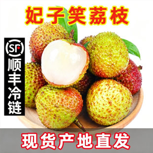 海南妃子笑荔枝顺丰冷链2026新鲜应季水果产地直发老树果大果优选