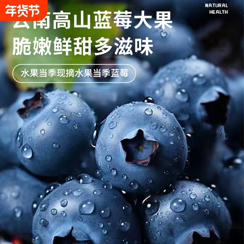 【顺丰】云南高山蓝莓鲜果当季现摘大果正宗花香水果酸甜新鲜蓝莓,水产肉类/新鲜蔬果/熟食,蓝莓,淘宝优惠券,粉丝福利购,淘宝优惠卷