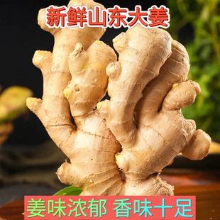 山东特产大黄姜新鲜辛辣味浓的生姜大块姜1斤3斤5斤包邮