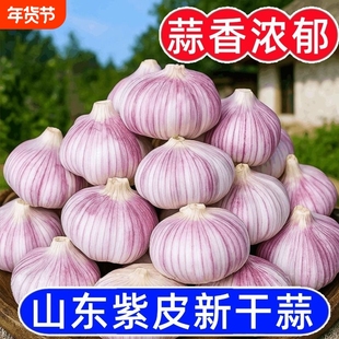 【十足干】山东新干蒜大蒜头批发正宗紫白皮大蒜特大果红皮大蒜子