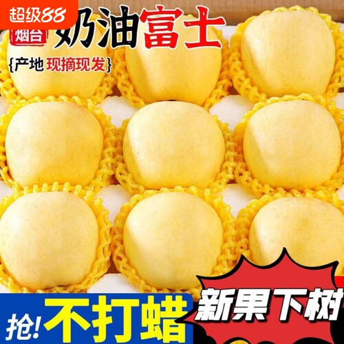特级烟台黄金奶油苹果脆甜栖霞富