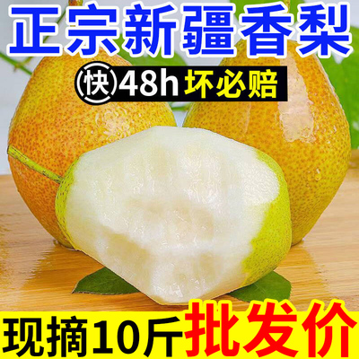 【爆甜】正宗新疆香梨新鲜水果梨子红香酥梨源自库尔勒杂交品种