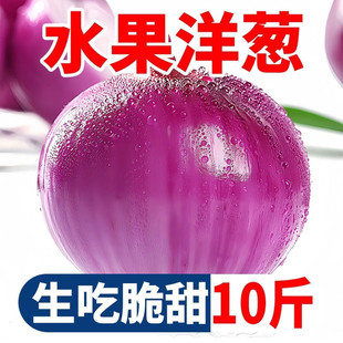 新鲜紫皮洋葱当季农家自种现挖水果洋葱洋葱头脆甜新鲜蔬菜整箱
