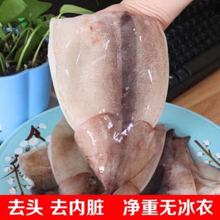 海捕鱿鱼冷冻新鲜烧烤铁板鱿鱼去头尾去眼牙鱿鱼片身海鲜水产包邮