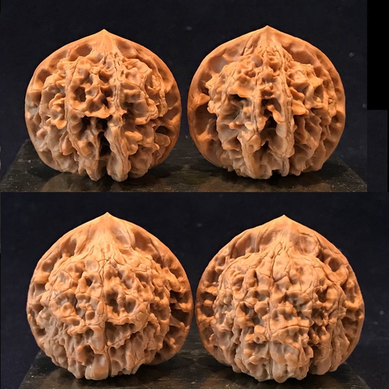 精品文玩麻核桃特大狮子头四座楼白狮子磨盘官帽虎头蛤蟆门墩把玩