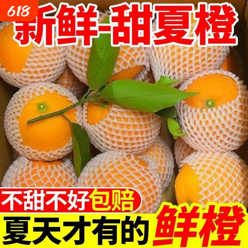 正宗广西桂林夏橙整箱包邮新鲜大果时令水果整箱冰糖手剥甜橙