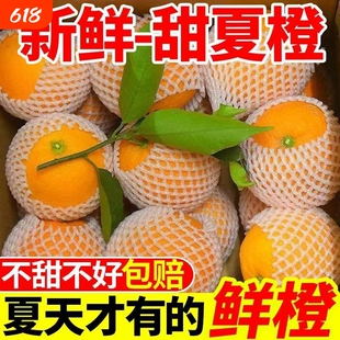 正宗广西桂林夏橙整箱包邮新鲜大果时令水果整箱冰糖手剥甜橙