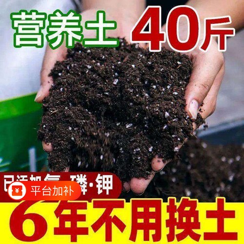 家用种菜土营养土养花土通用型花卉土盆栽土蔬菜种植土壤疏松绿植