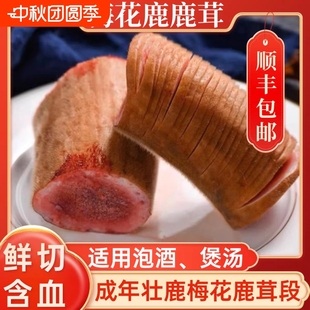 片新鮮帶血鹿茸整枝 吉林鮮鹿茸頭茬梅花鹿整根鹿茸片泡酒專用正品