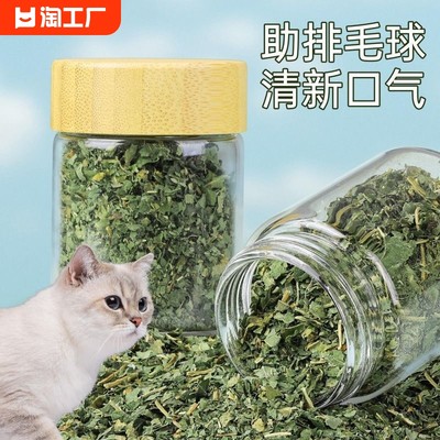 可食用高纯度猫薄荷粉骗水神器