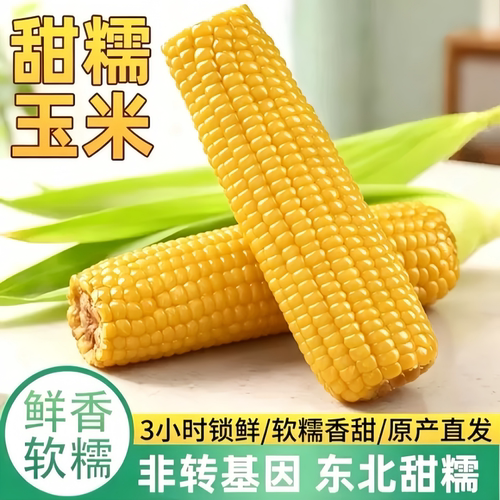 正宗东北新鲜黄糯玉米真空包装香甜软糯玉米棒早餐加热即食代餐