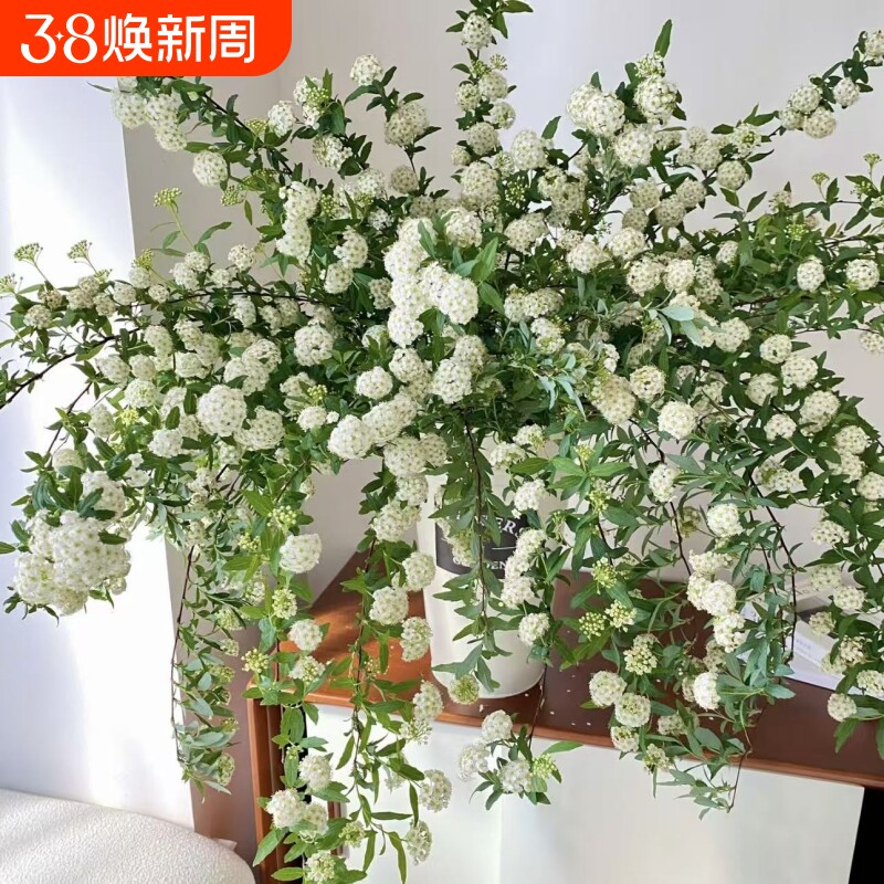 小手球绣线菊鲜切枝条鲜花水养开花家用办公室内插花婚庆配花包邮