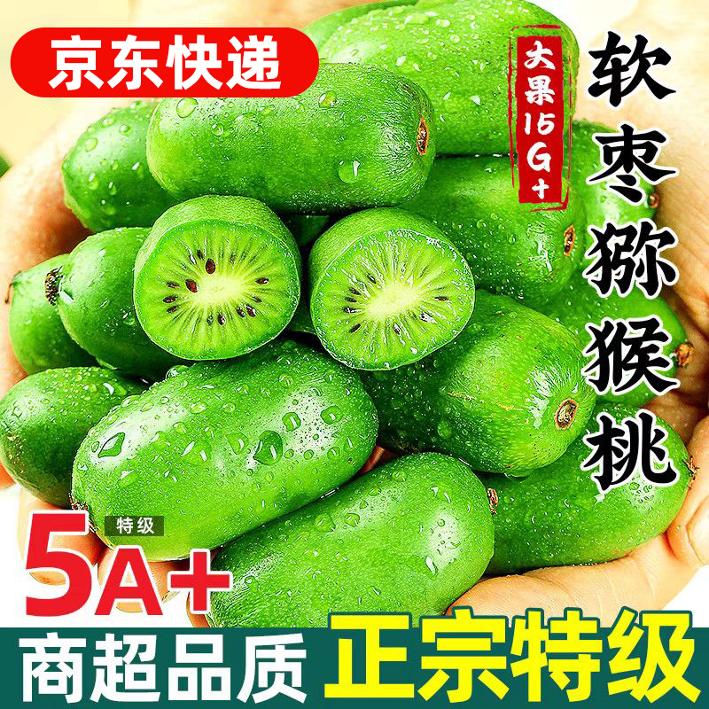 丹东软枣猕猴桃礼盒东北软枣子圆枣子水果当季奇异莓现摘