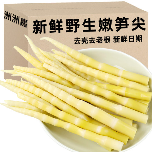 竹笋新鲜嫩笋尖野生清水小竹笋火锅麻辣烫笋串串笋罗汉笋原味春笋