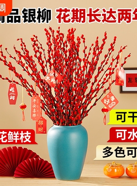 银柳真花鲜枝年宵花客厅摆件干花盆栽抱抱桶红色花卉干枝水培植物