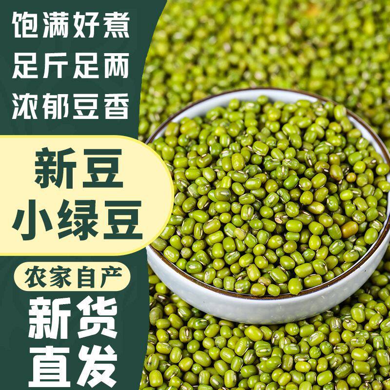 农家新绿豆5斤优质批发生绿豆芽专用五谷杂粮粥汤发豆芽馅料分装