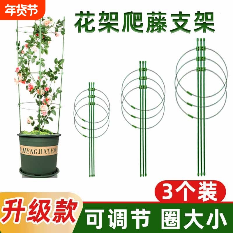 花架爬藤支架花盆园艺支柱月季铁线莲球兰绿萝植物防倒攀爬支撑杆