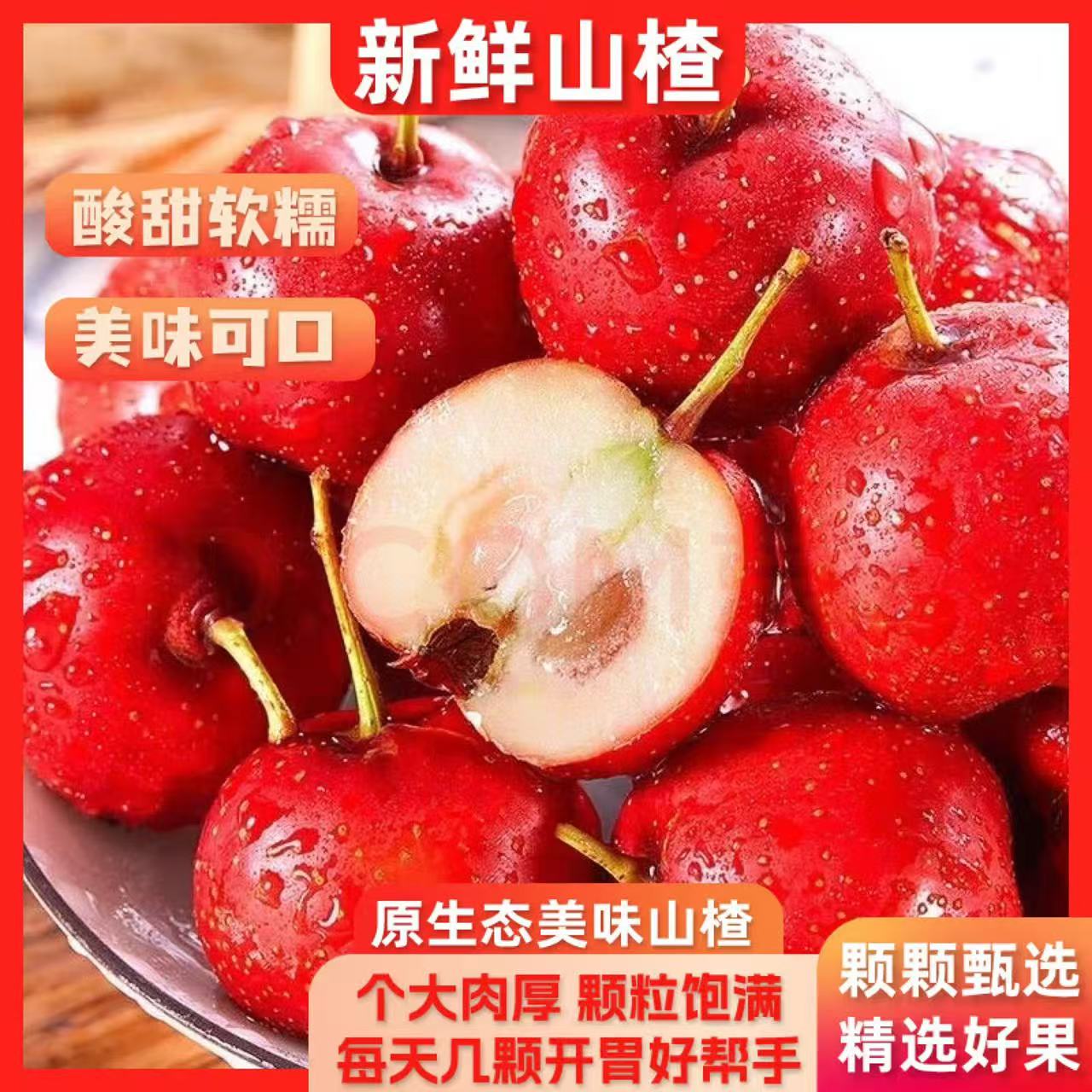 新鲜山楂果大山楂鲜果红果鲜山楂大果山里红冰糖葫芦用现摘生山楂
