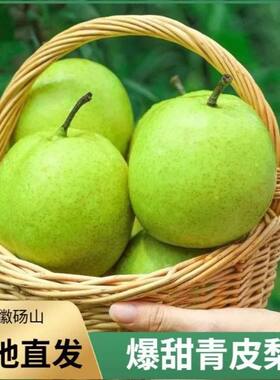 江苏常州焦溪蜜梨水果新鲜翠冠梨青皮梨现摘孕妇儿童小潘梨园