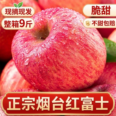 脆甜红富士苹果9斤|超5000次加购