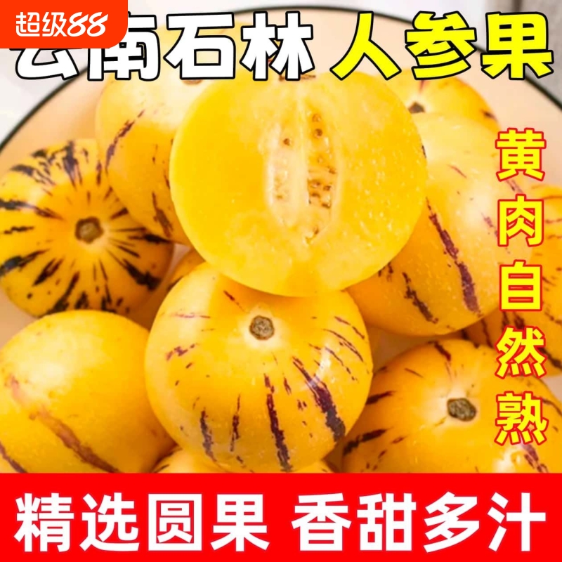 【甄选】云南树上熟人参果圆果黄肉新鲜现摘当季水果整箱爆甜多汁