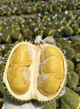 泰国进口金枕头榴莲鲜果树熟榴莲新鲜当季水果一整个带壳