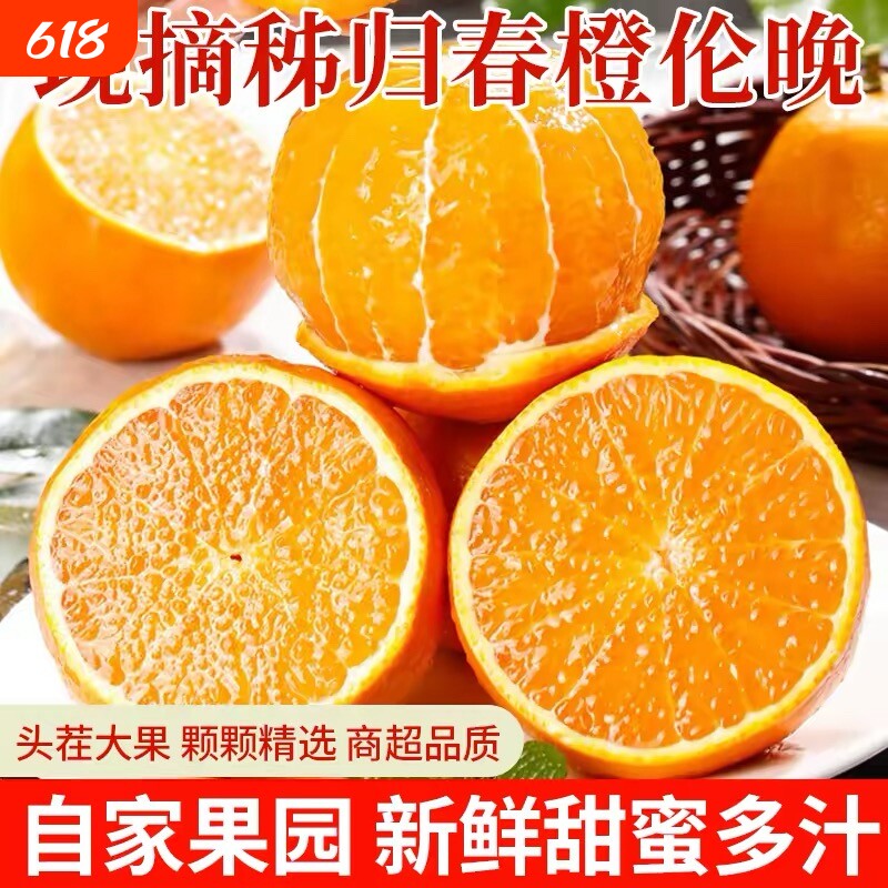 橙子伦晚脐橙湖北秭归新鲜10斤大果甜春橙榨汁手剥橙整箱当季水果