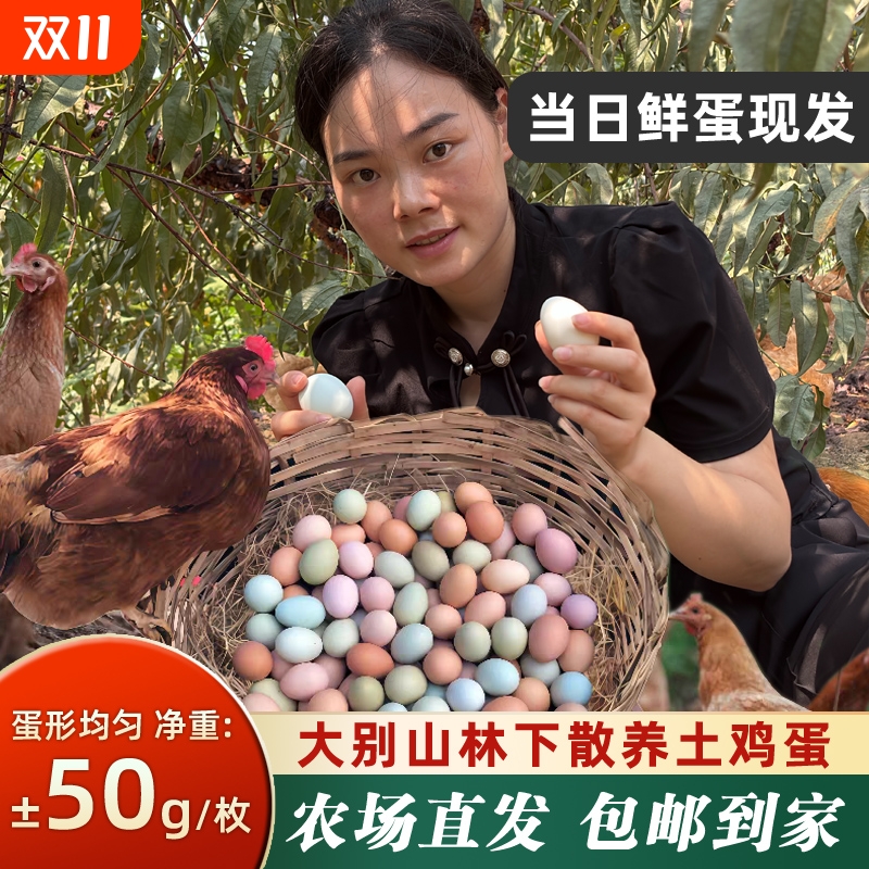 湖北特产山区散养土鸡蛋