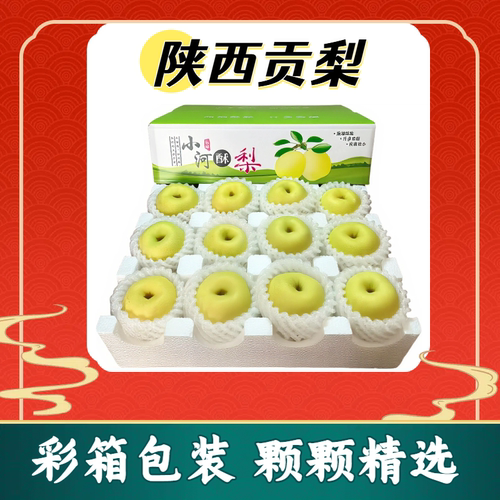 陕西小河酥梨彩箱装酥脆甜御果贡梨正宗香甜发整箱