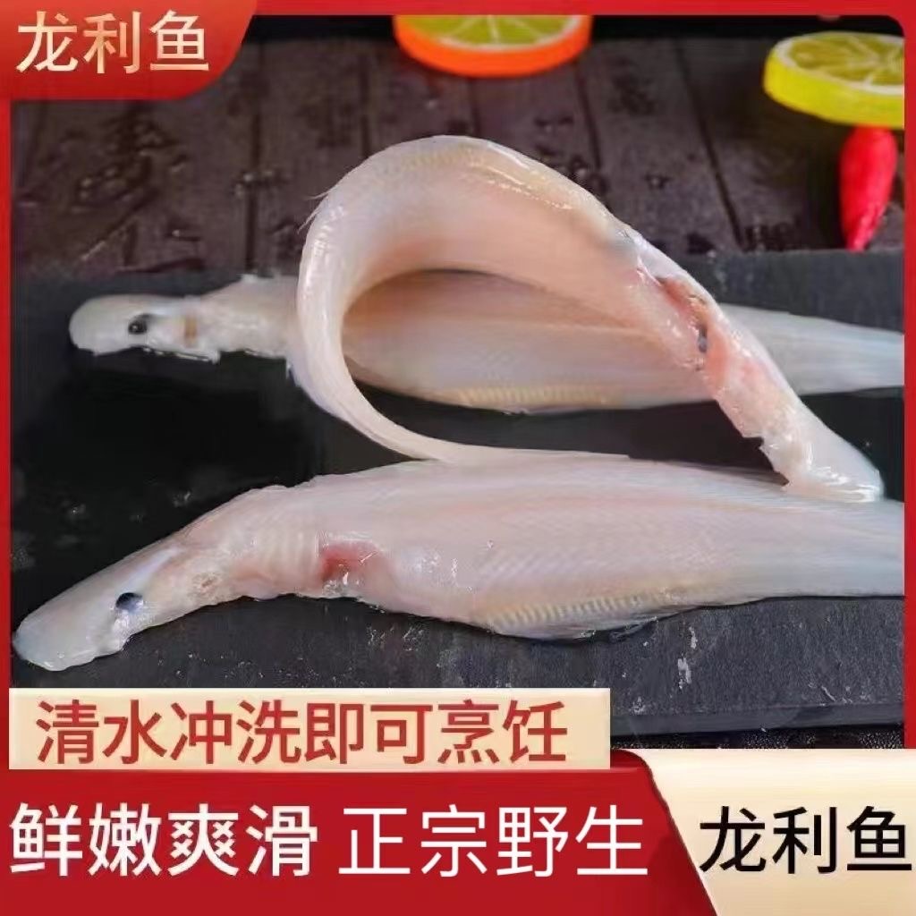 海捕龙利鱼小舌头鱼新鲜踏板鱼带皮冷冻海鱼海鲜生鲜商用批鱼片