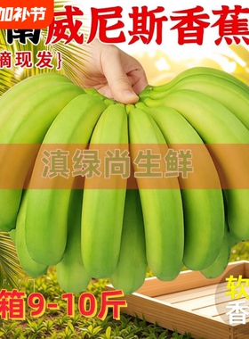 高山青皮甜香蕉新鲜自然熟无添加当季现摘现发绿蕉绿色甜