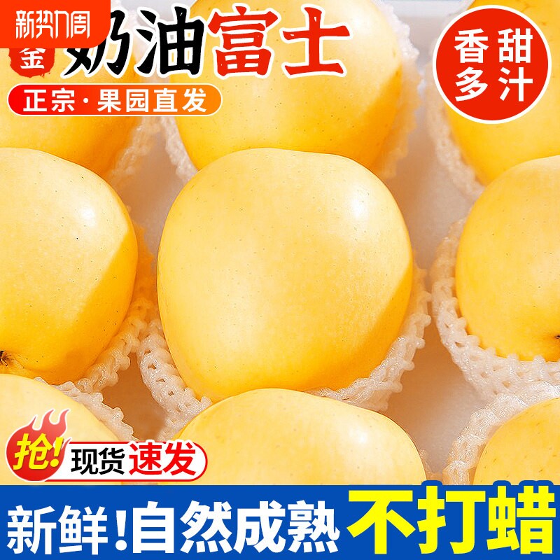 山东烟台黄金奶油富士苹果新鲜水果当季整箱维纳斯10斤产地直发
